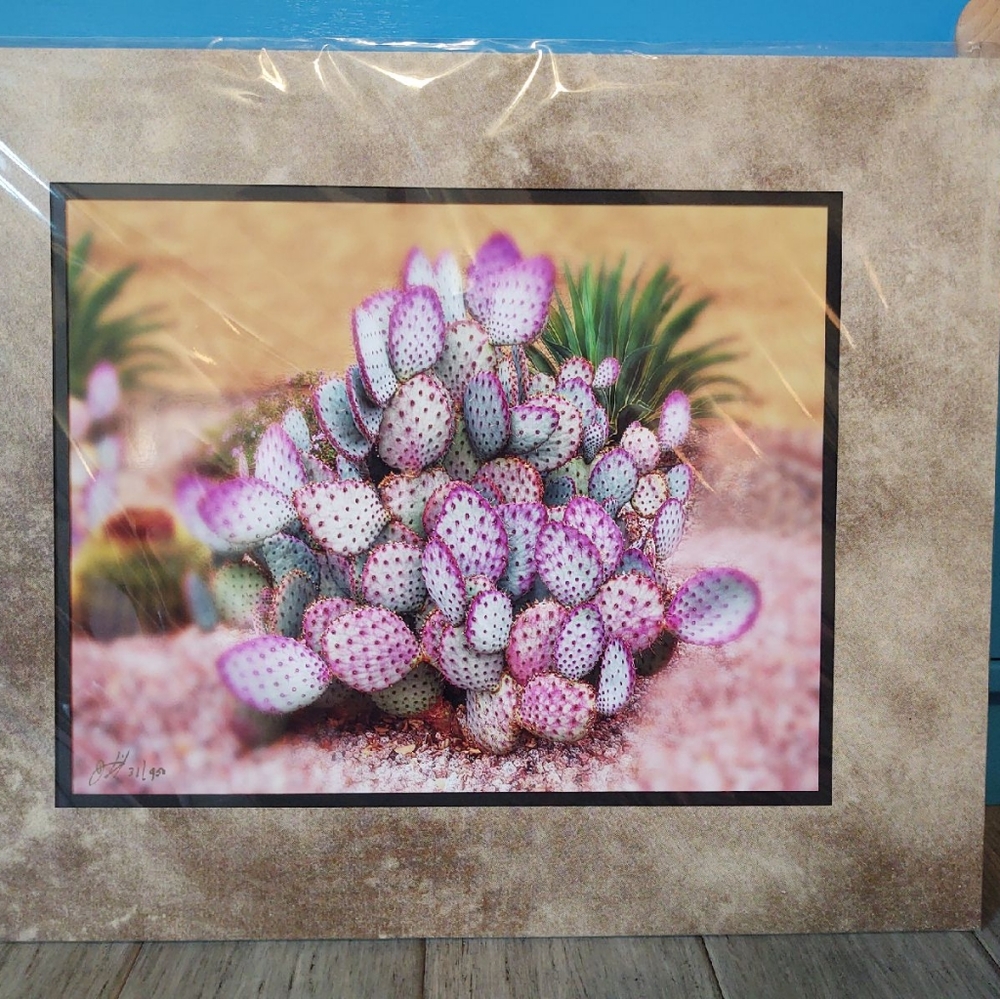 Flat Cactus Print, Signed